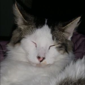 Meet your Posher, Hailey